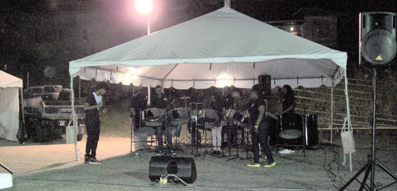 Fusion Steel Orchestra_Robin Park, San Fernando, Trinidad, TT_20150822_tobagojo@gmail.com_100_6050B_col.jpg